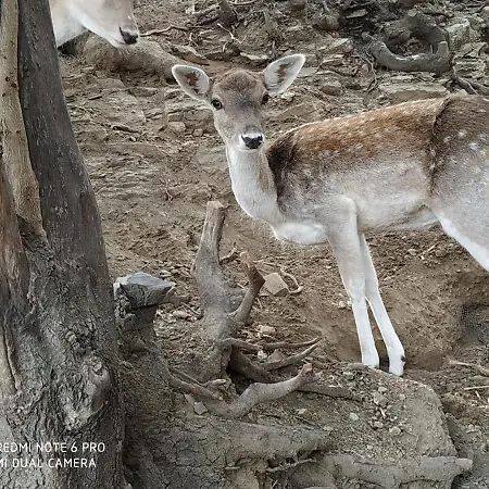 Il Silenzio * Magarikari
