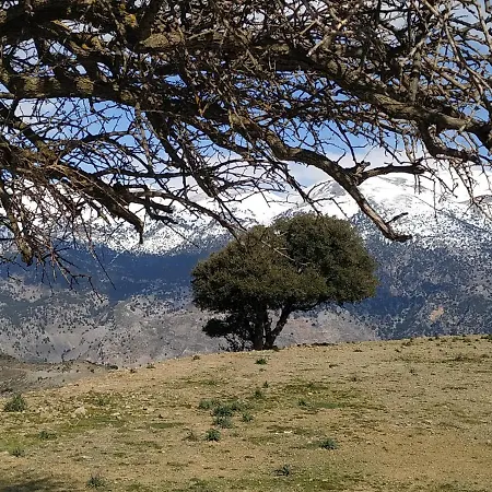 Σπίτι διακοπών Il Silenzio *