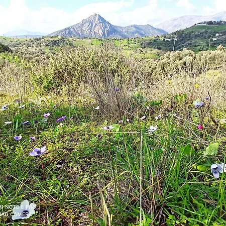 Σπίτι διακοπών Il Silenzio Magarikari